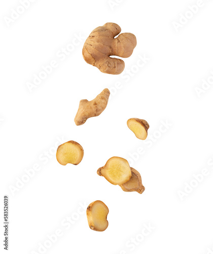 Canvas Print Falling Ginger cutout, Png file.