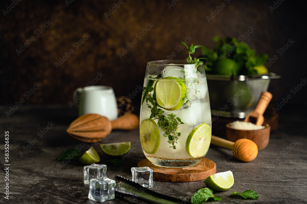 Iced Mojito cocktail long rum drink with fresh mint, fresh thyme, lime juice, cane sugar and soda on dark abstract background. Summer iced beverage and cocktail Iced Mojito cocktail long rum drink with fresh mint, fresh thyme, lime juice, cane sugar and soda on dark abstract background. Summer iced beverage and cocktail