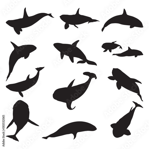 Set of orca whale vector silhouettes.