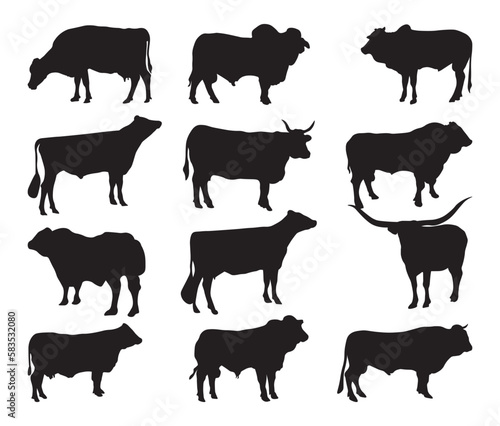 Set of vector silhouettes of cattle breeds © Ascreator