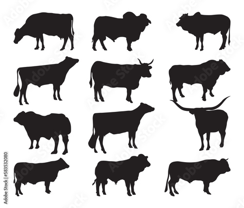 Set of vector silhouettes of cattle breeds 