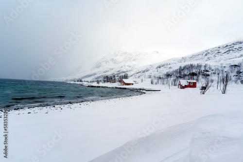 snowy landscape nature in tromso