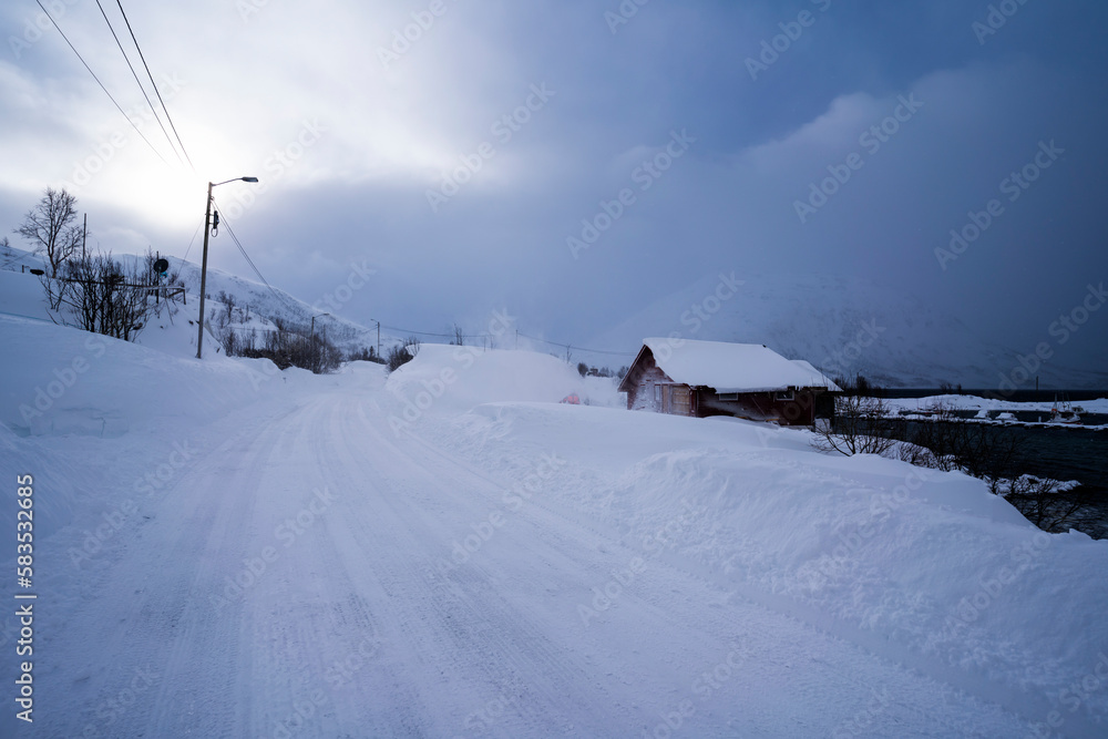 snowy landscape nature in tromso