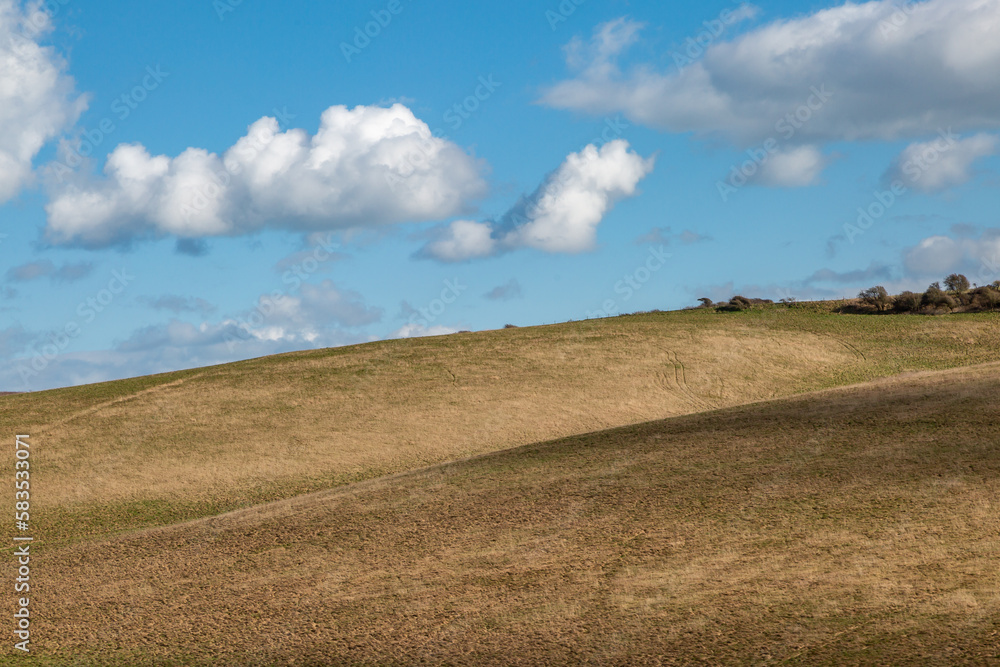Looking out over a South Downs hillside, on a sunny day in March