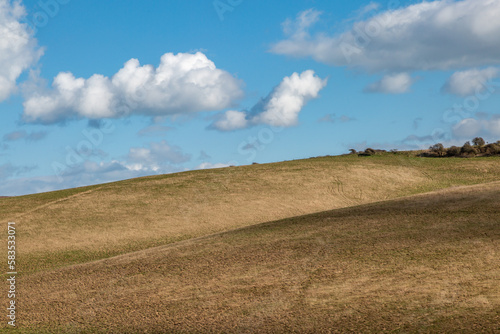 Looking out over a South Downs hillside, on a sunny day in March © lemanieh