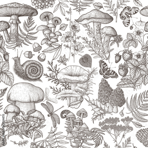 Seamless vector forest pattern with mushrooms, plants, insects, berries. Fly agaric, chanterelles, white mushroom, honey mushrooms, morels, mycena, russula, boletus, snail, strawberry, fern, butterfly
