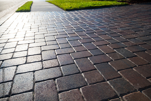 Fotografia, Obraz Close up showing driveway sealant to protect the bricks