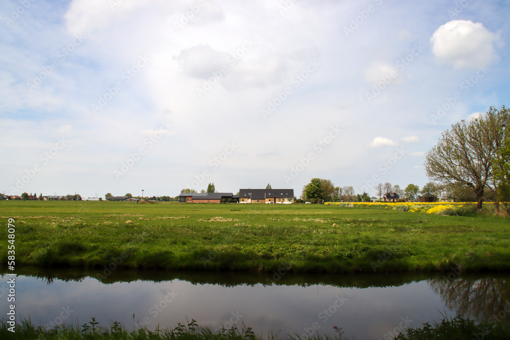 Fototapeta premium meadows and watering canals at the Vijfde Tochtweg in the Zuidplaspolder