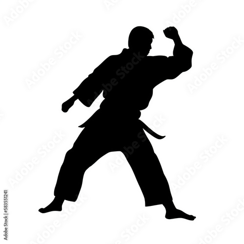 karate, silhouette, sport, vector, black, illustration, player, , people, run, running, body, sports, ball, soccer, runner, athlete, woman, football, dance, person, competition, generative, ai © Eugene