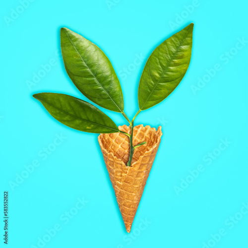 Young seedling in an ice cream cone, on a blue background. Isolated. Ecology concept. Natural products. Ecological