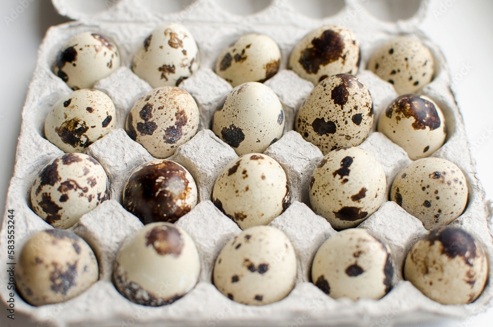 Quail eggs in a paper tray Quail eggs in a paper tray