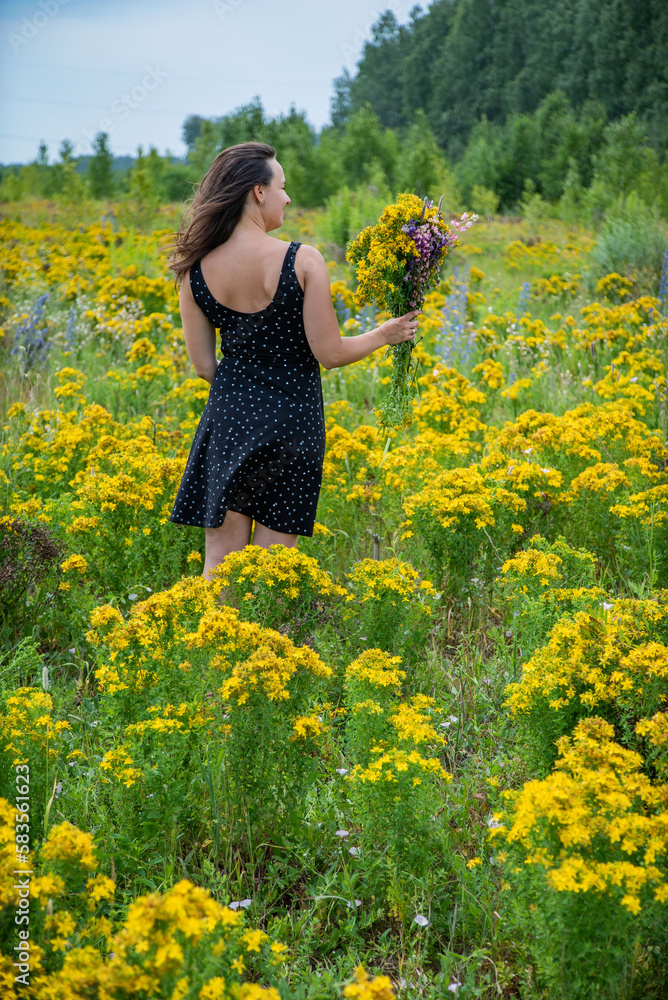 Back View of Young Pretty Woman Collecting Wildflowers in a Summer Blooming Field Back View of Young Pretty Woman Collecting Wildflowers in a Summer Blooming Field