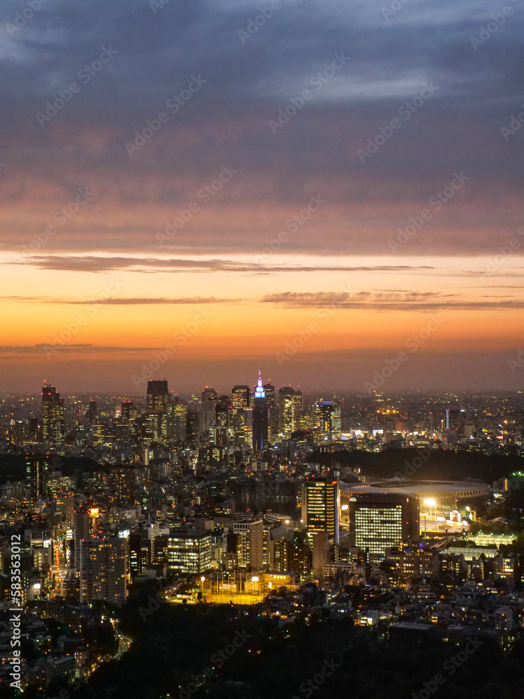 Tokyo Skyline in the night