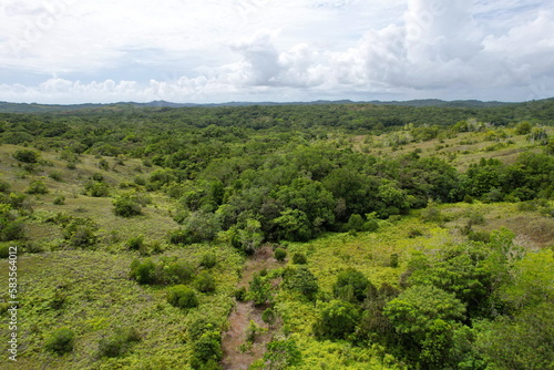Overgrown area of the tropical island
