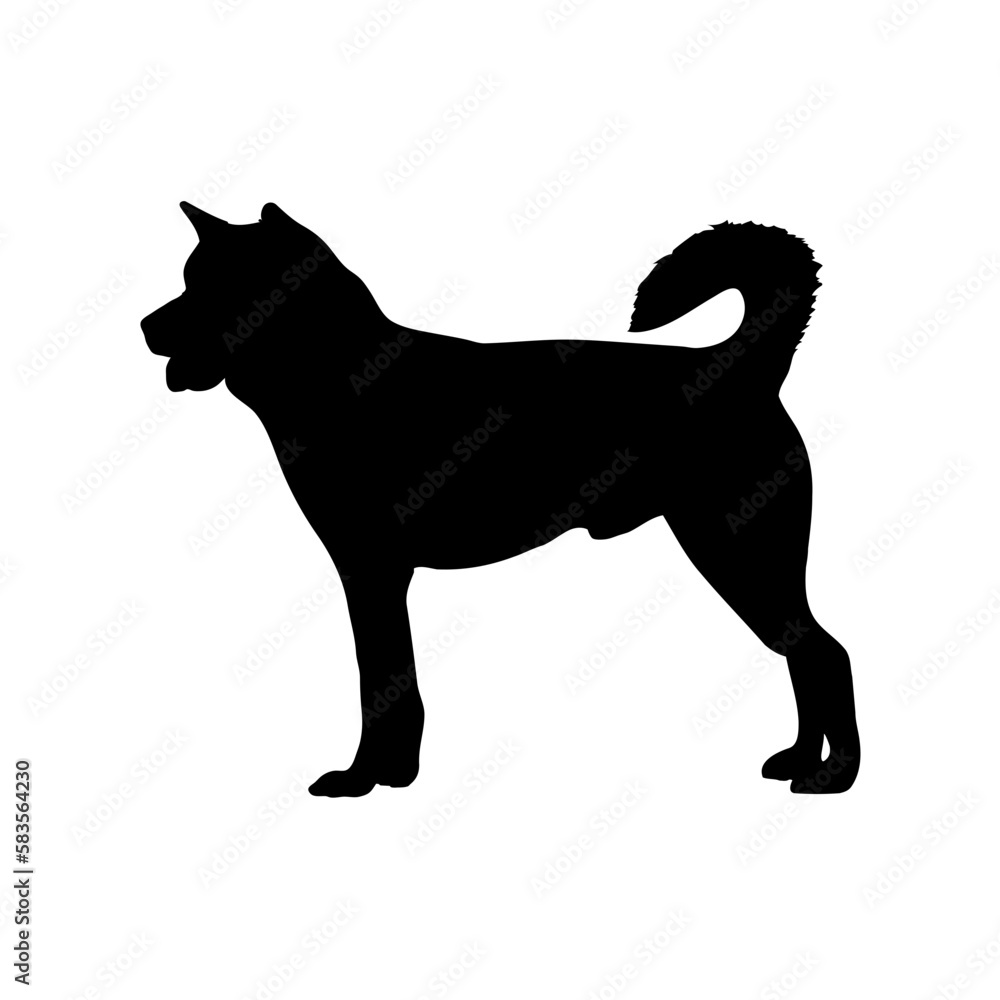 Akita Silhouette Dog