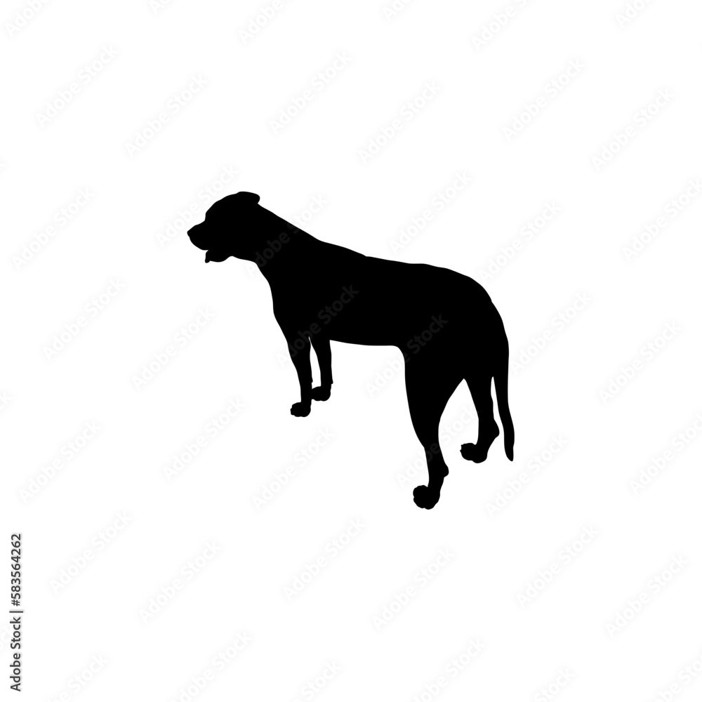 American bull. Silhouette Dog American bull. Silhouette Dog