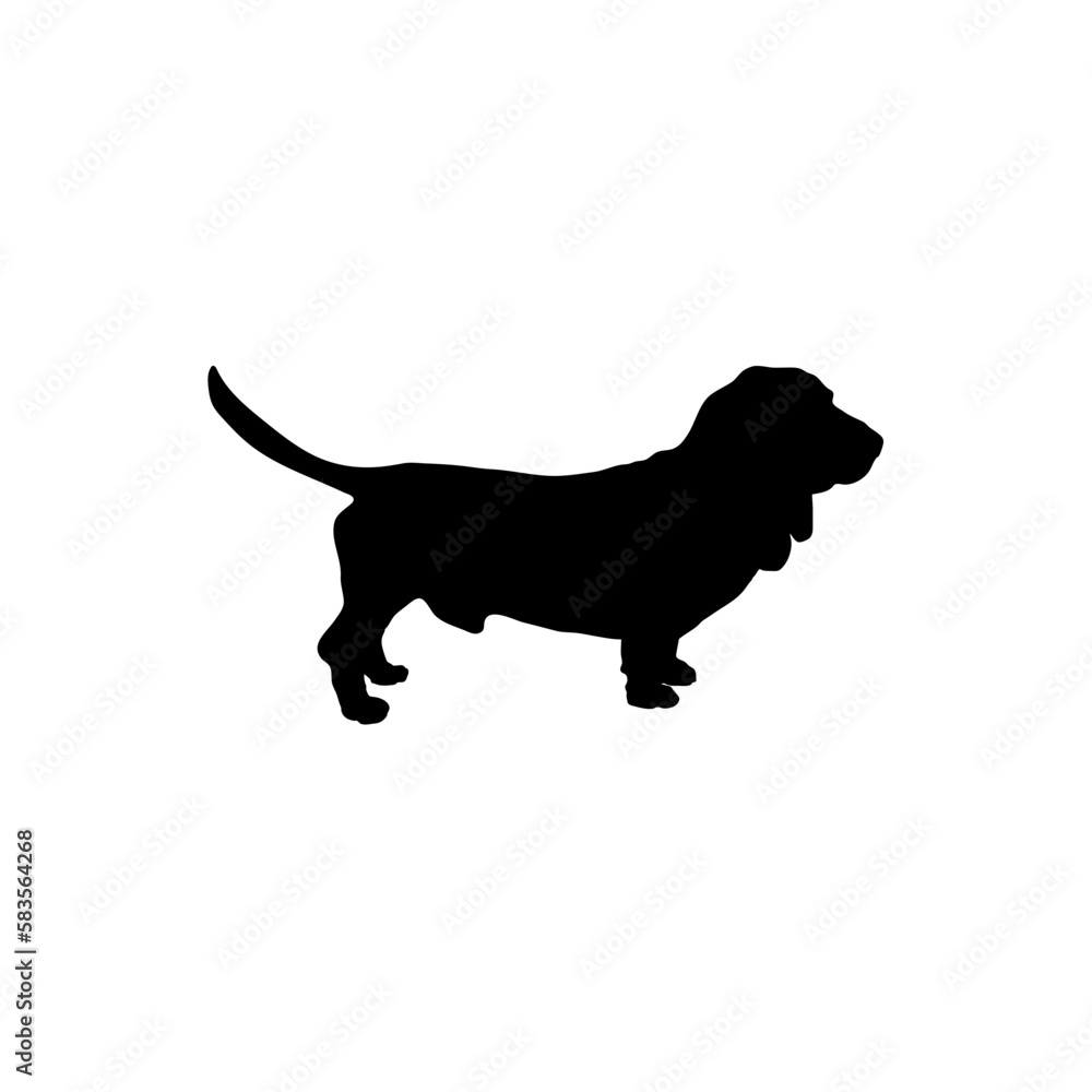  bassetSilhouette Dog