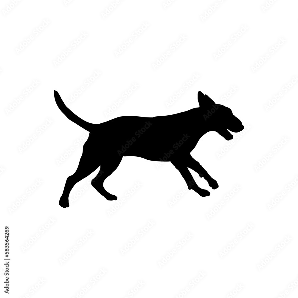 bull terrier runs  Silhouette Dog