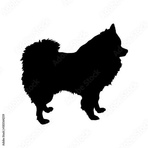 Pomeranian Spitz Silhouette Dog