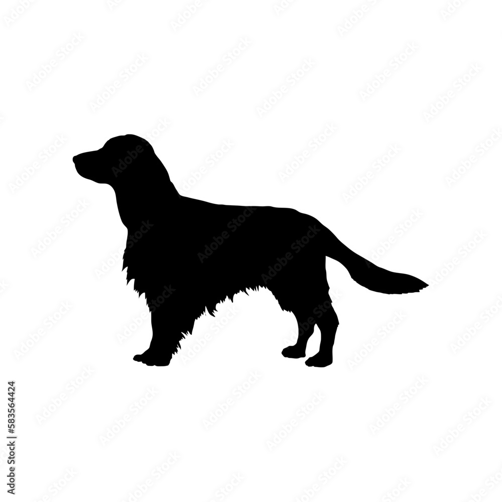 Labrador  Silhouette Dog