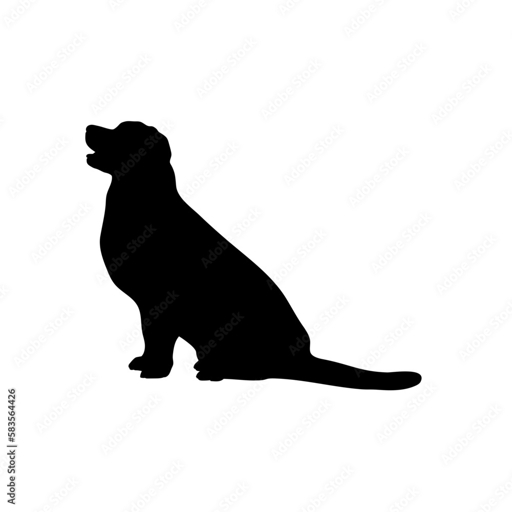 labrodore sits Silhouette Dog