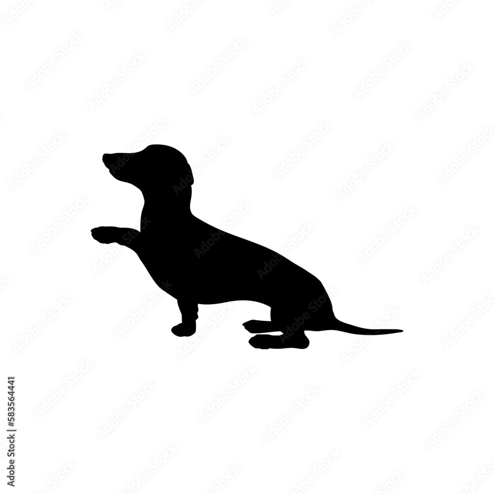 dachshund sitting Silhouette Dog