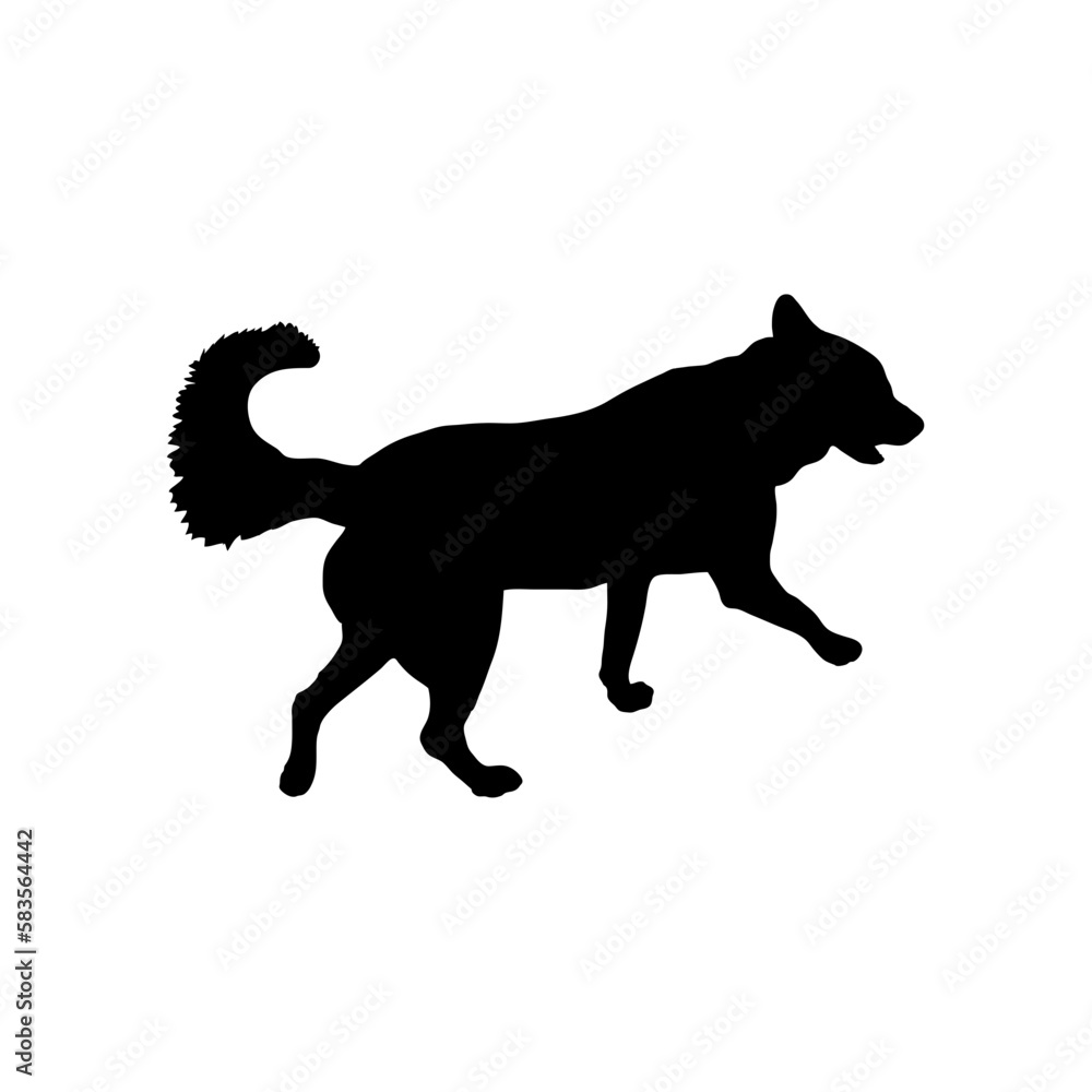 Fototapeta premium dog is running Silhouette Dog