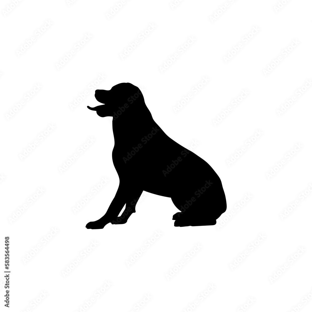  australian shepherd Silhouette Dog