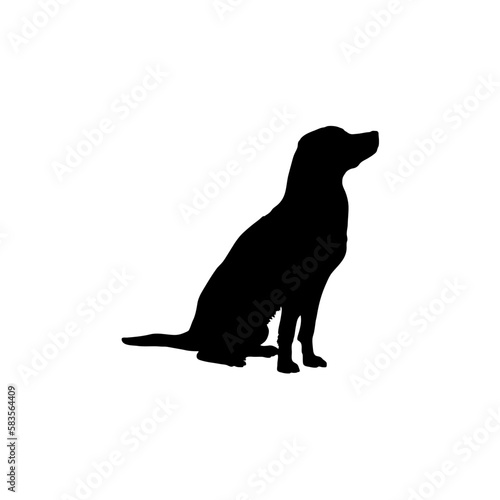  Labrador  Silhouette Dog
