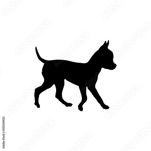 chihuahua Silhouette Dog
