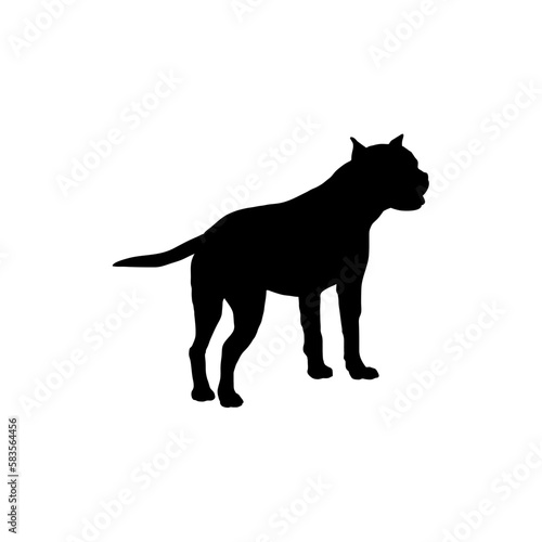 pit bull Silhouette Dog © Pony 3000