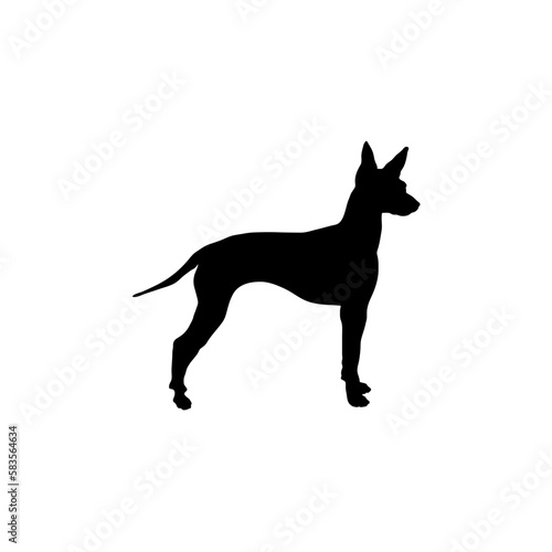 English toy terrier Silhouette Dog