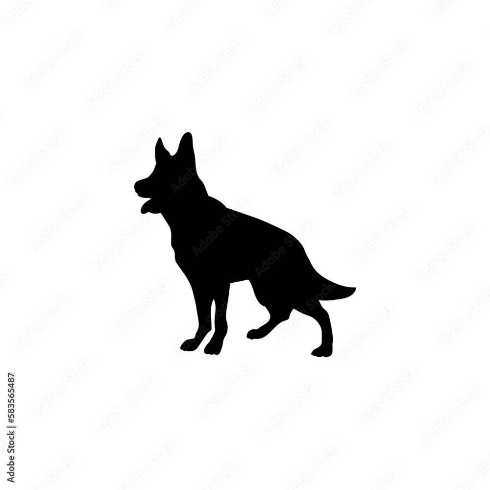 Fototapeta premium german shepherd 