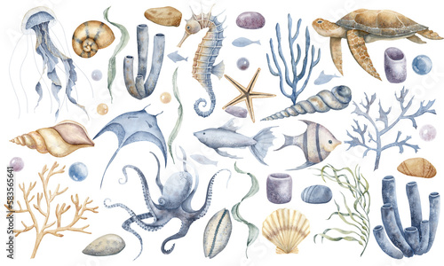 Big Undersea set with Seahorse, Jellyfish, corals and turtle. Hand drawn watercolor illustration of seaweeds and underwater animals for clipart on isolated background. Colorful drawing with seashells