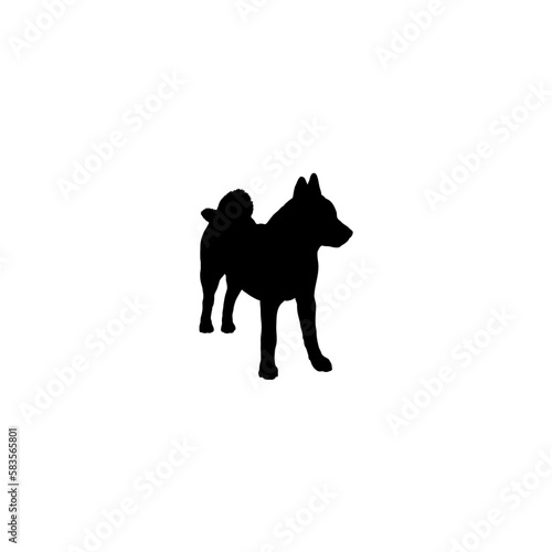 laika 