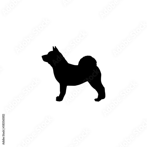 Malamute