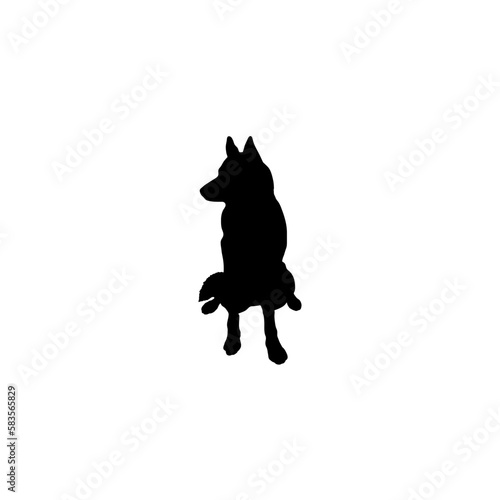 german shepherd sitting