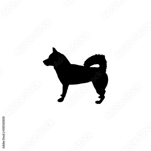  laika 