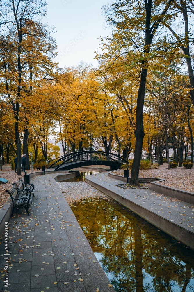 Vertical shot of autumn in a beautiful park with bench, bridge, and river in Niska Banja, Serbia