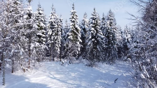 Winter season snowy mountain forest aerial shot. Breathtaking natural landscape