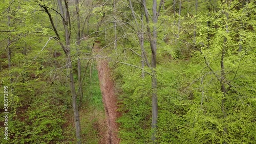 Aerial push rise flying over bridge. the bridge by a viaduct in the forest.