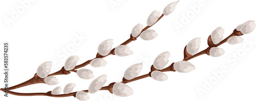 Willow twigs vector illustration. Spring season Easter celebration blooming plant branches Isolated