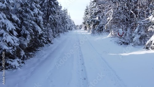 Winter season snowy mountain forest aerial shot. Breathtaking natural landscape