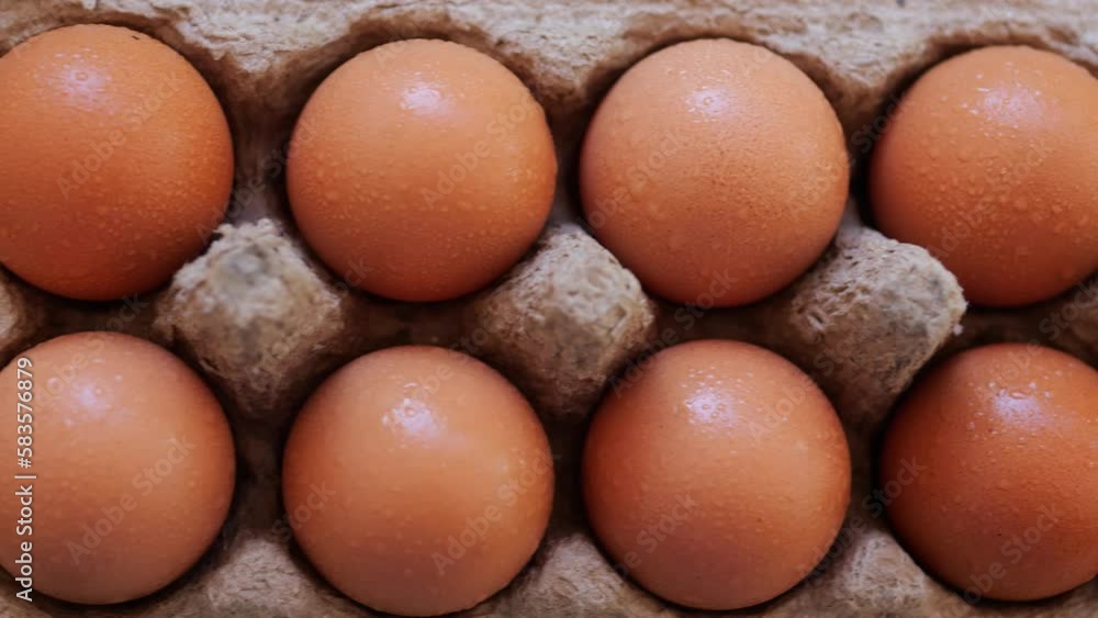 Brown chicken eggs in a cardboard. Brown chicken eggs in a cardboard.