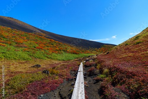 秋田駒ケ岳登山 絶景の紅葉のムーミン谷