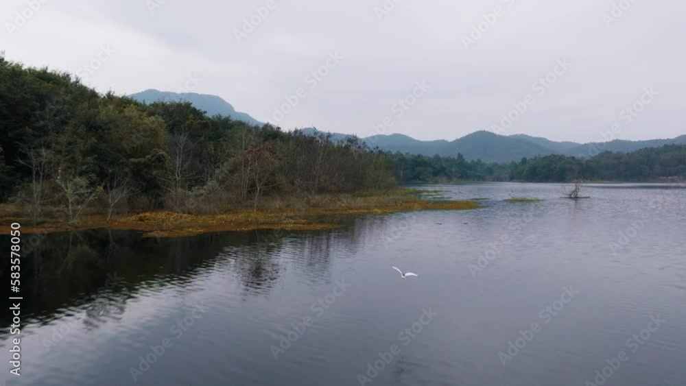 Beautiful lake view in Thailand with birds flying around Beautiful lake view in Thailand with birds flying around