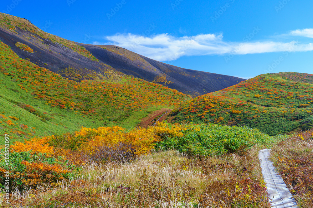 秋田駒ケ岳登山  絶景の紅葉のムーミン谷