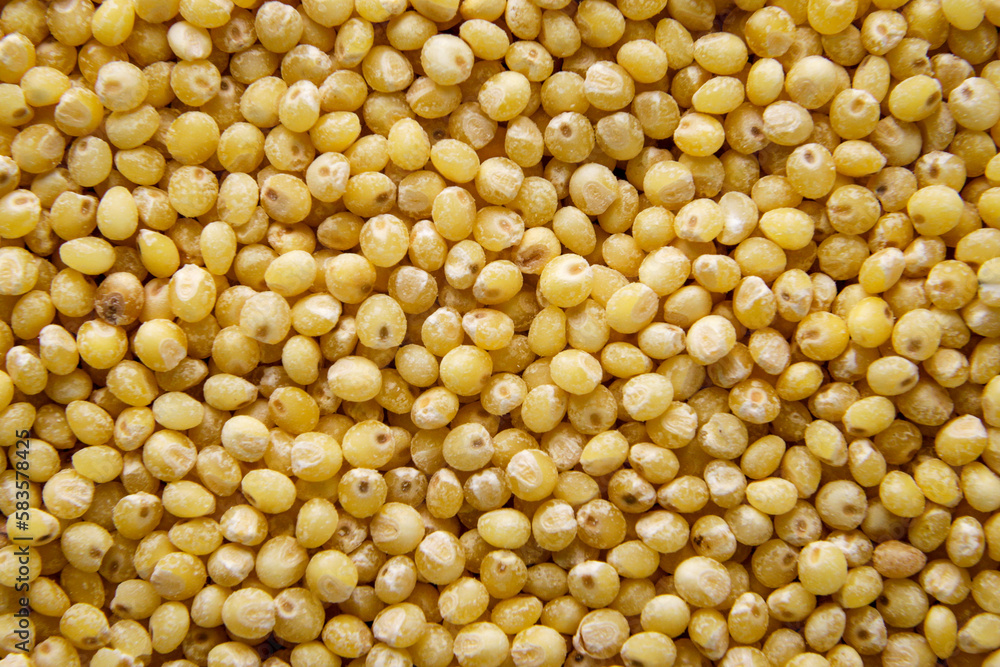 Millet close-up, background. The view from the top Millet close-up, background. The view from the top