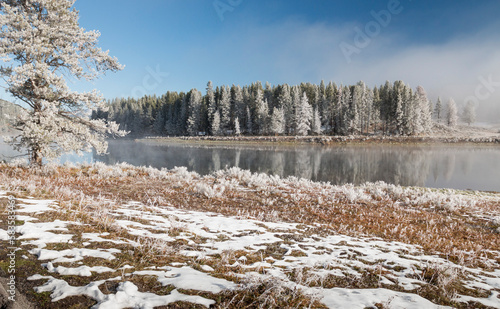 Sunny, cold morning, Hayden Valley, Yellowstone National Park, Wyoming, US photo