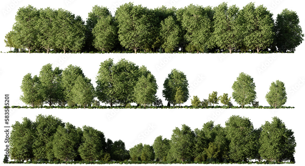 forest landscapes, collection of forestscapes with green trees, shrubs and empty space, isolated on transparent background